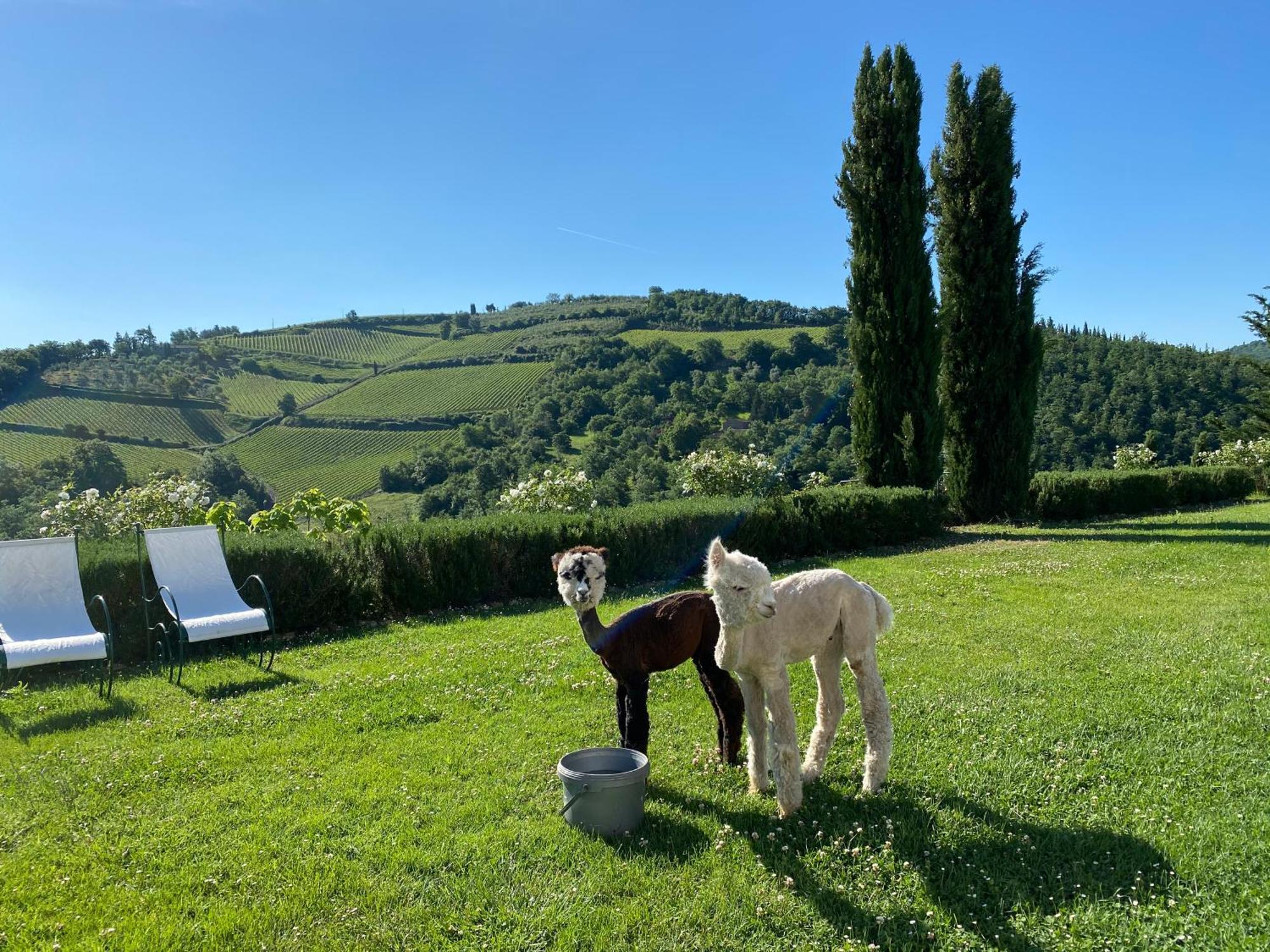 Villa Rignana Chianti Estate, Pool, Tennis,Cook Greve in Chianti Exterior photo